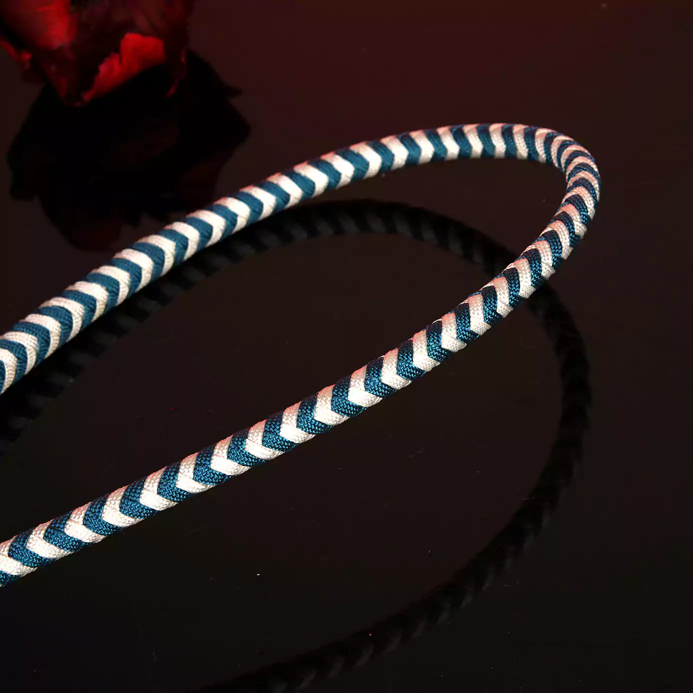 Blue & White Striped Whip
