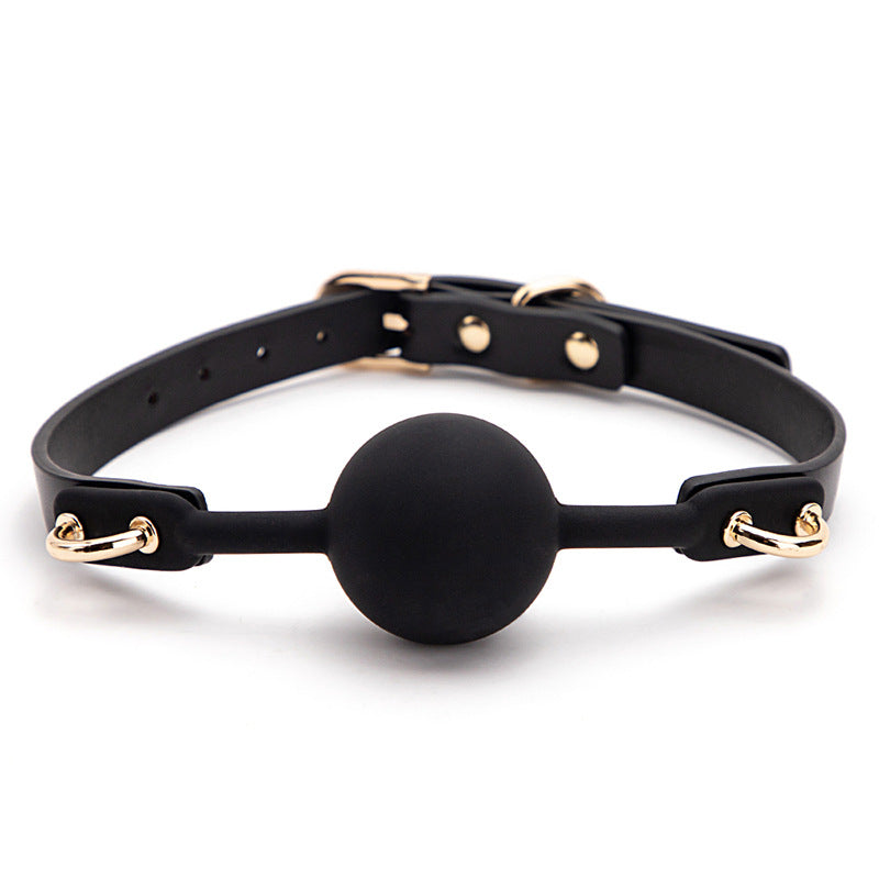 Minimalist Modern Style BDSM Ball Gags