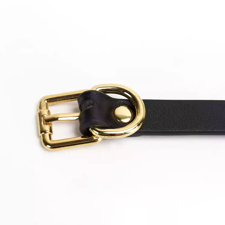 Accent Modern BDSM Ball Gags