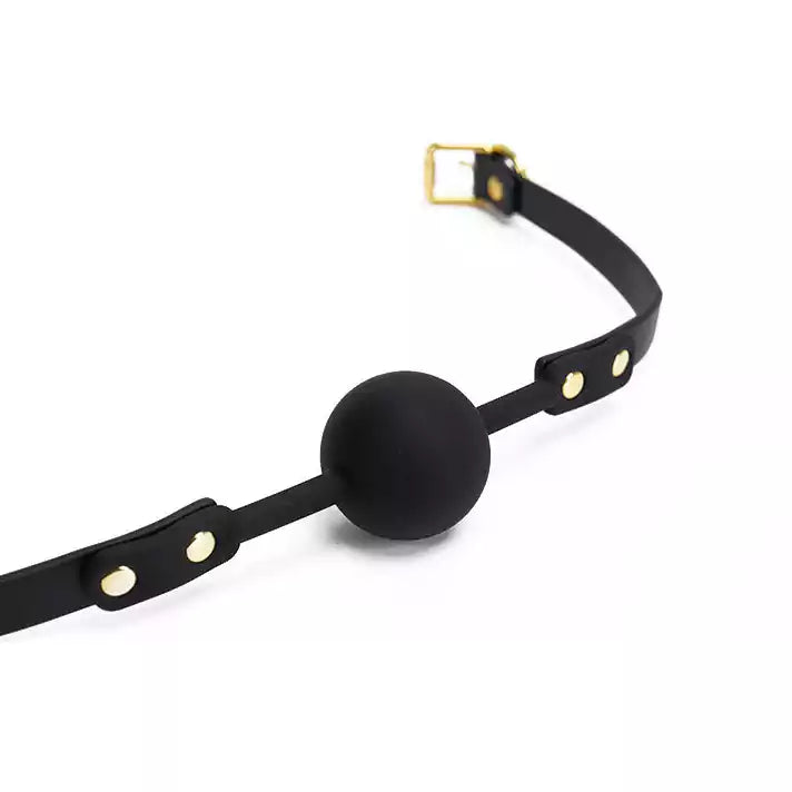 Accent Modern BDSM Ball Gags