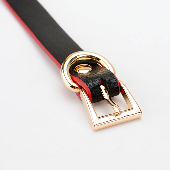 Modern Style BDSM Ball Gags