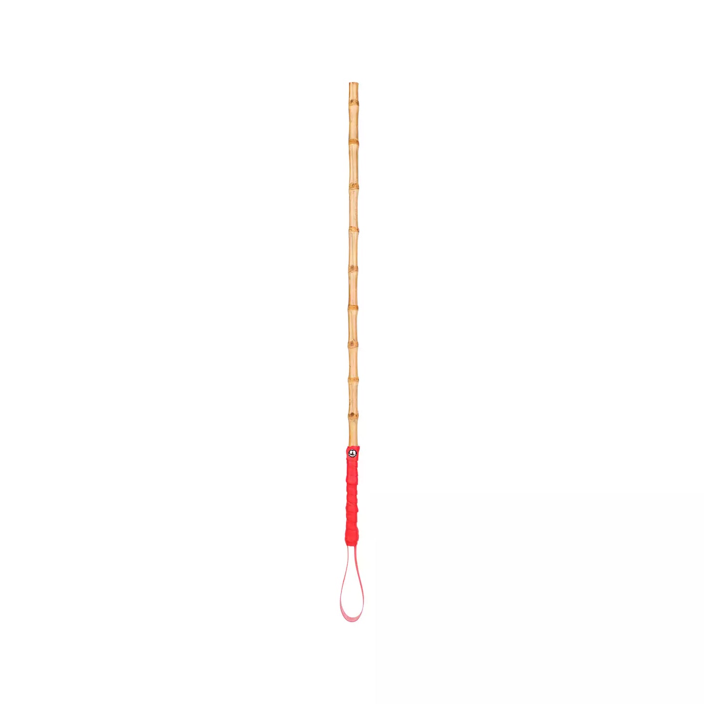 Bamboo Segment Discipline Cane