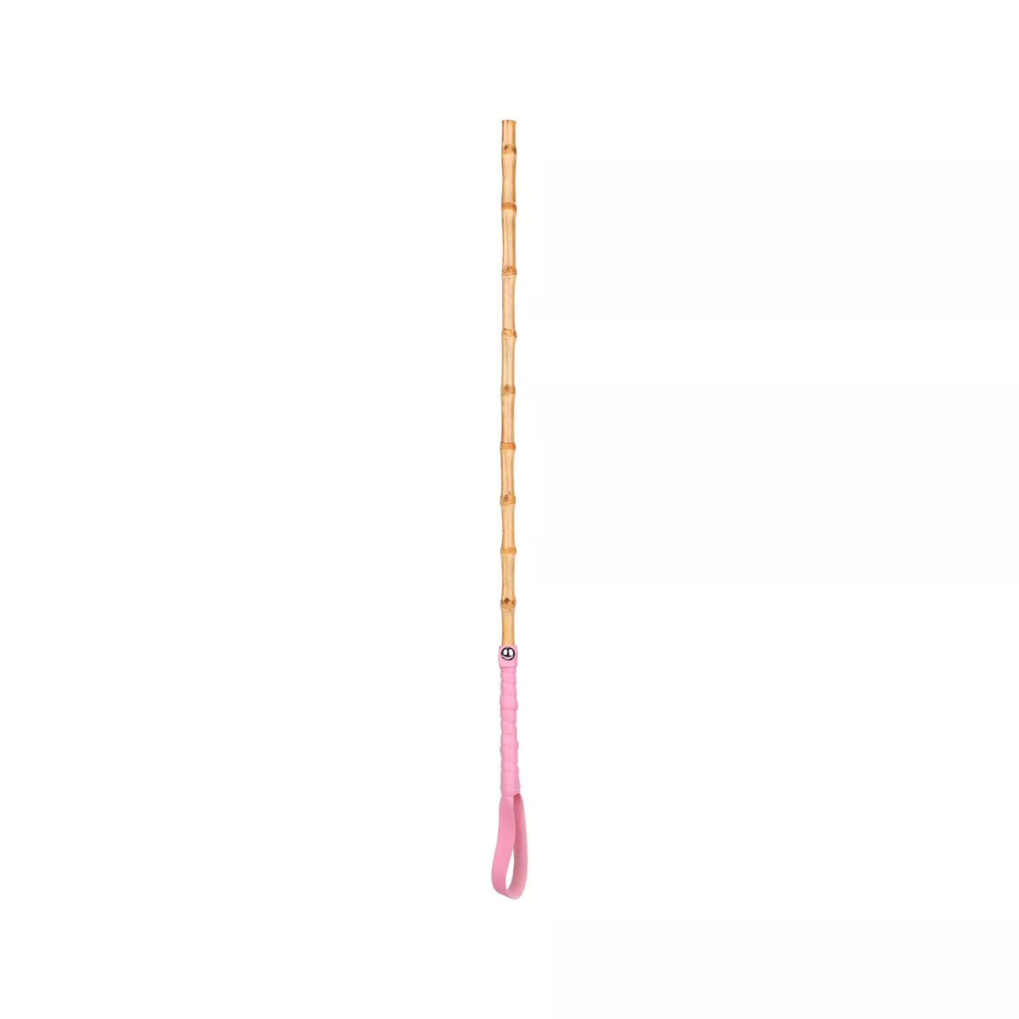 Bamboo Segment Discipline Cane