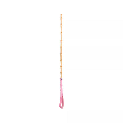 Bamboo Segment Discipline Cane