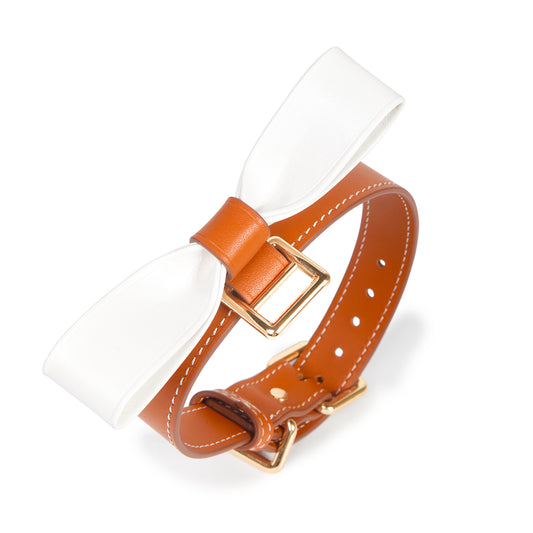 Hermes Color Leather BDSM Collars