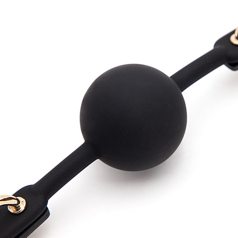 Minimalist Modern Style BDSM Ball Gags