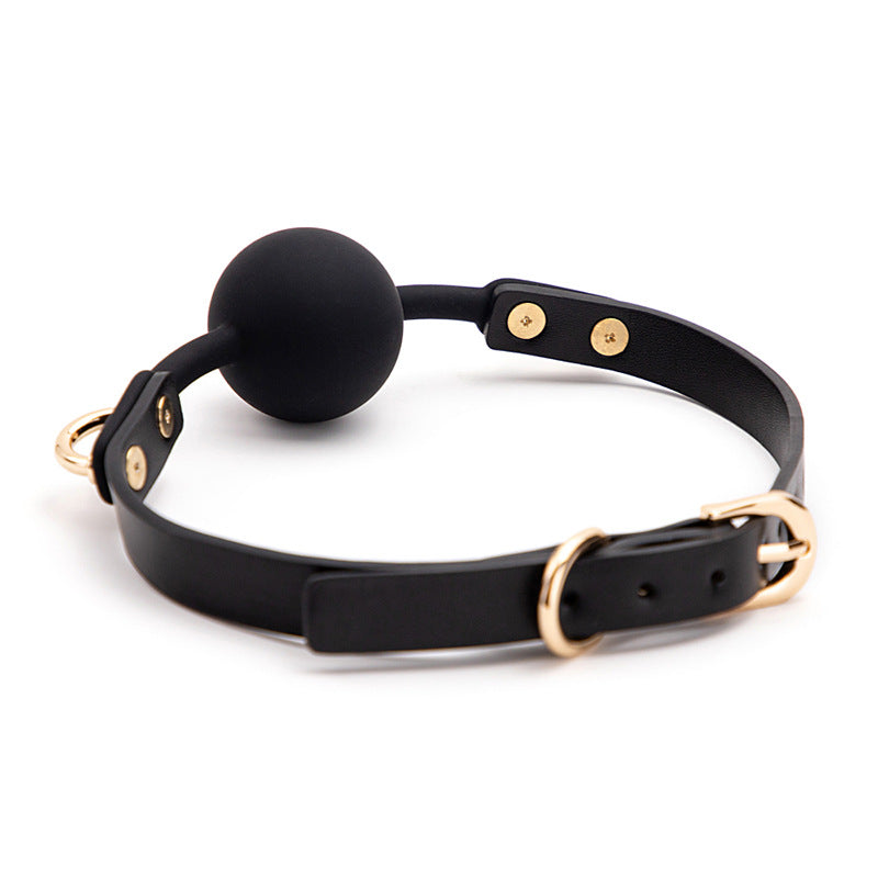 Minimalist Modern Style BDSM Ball Gags
