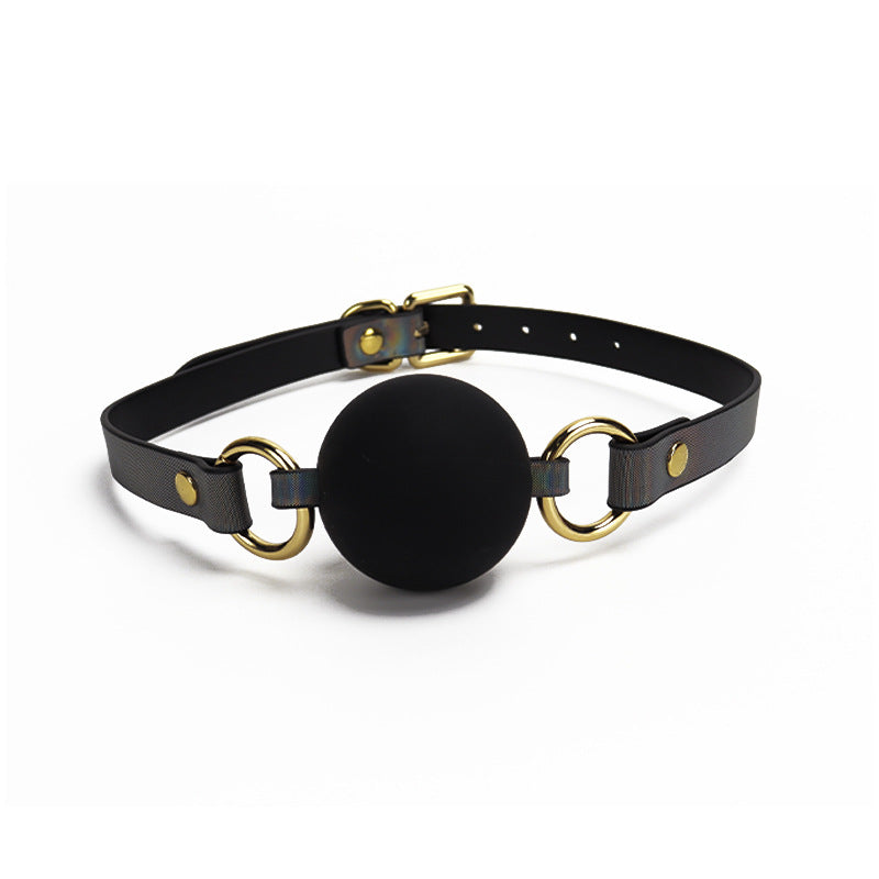 Accent Modern BDSM Ball Gags