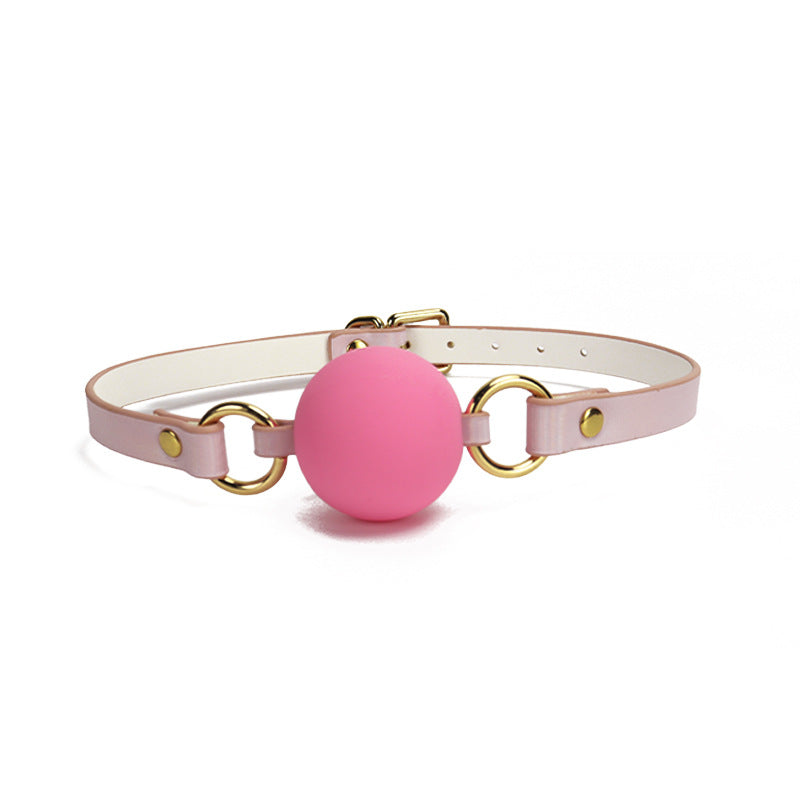 Accent Modern BDSM Ball Gags