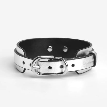 Pet BDSM Collars for Playful Beginners