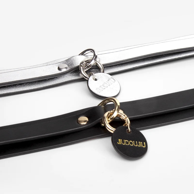 Pet BDSM Collars for Playful Beginners