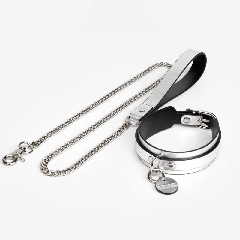 Pet BDSM Collars for Playful Beginners
