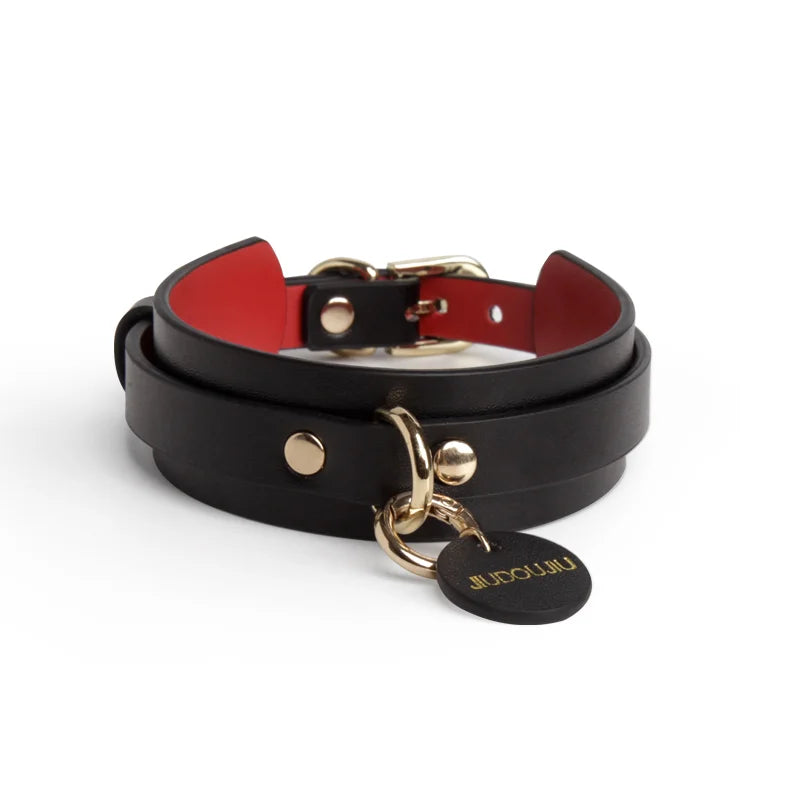 Pet BDSM Collars for Playful Beginners