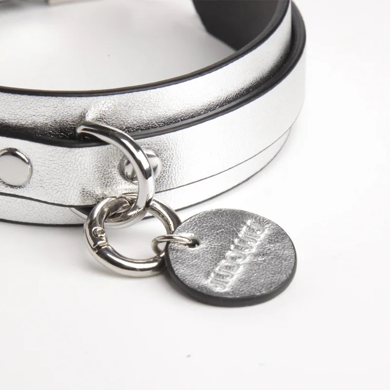 Pet BDSM Collars for Playful Beginners