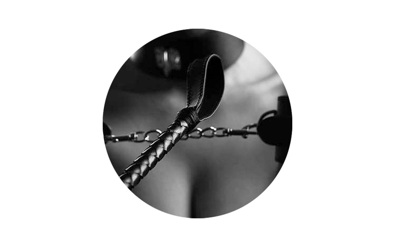 Riding-Crops-Collections