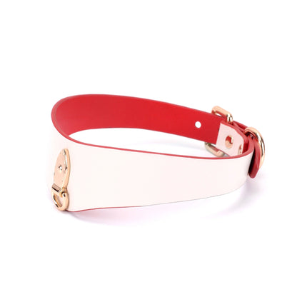 Shaped BDSM Collars for Sensory Play