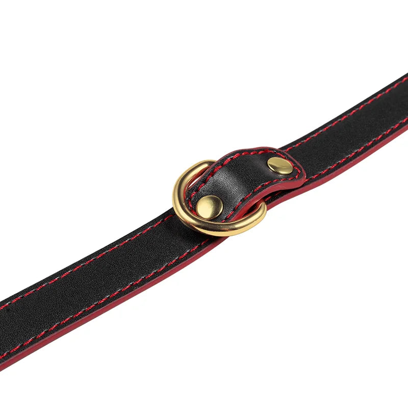 Simple Color Block Leather BDSM Collars